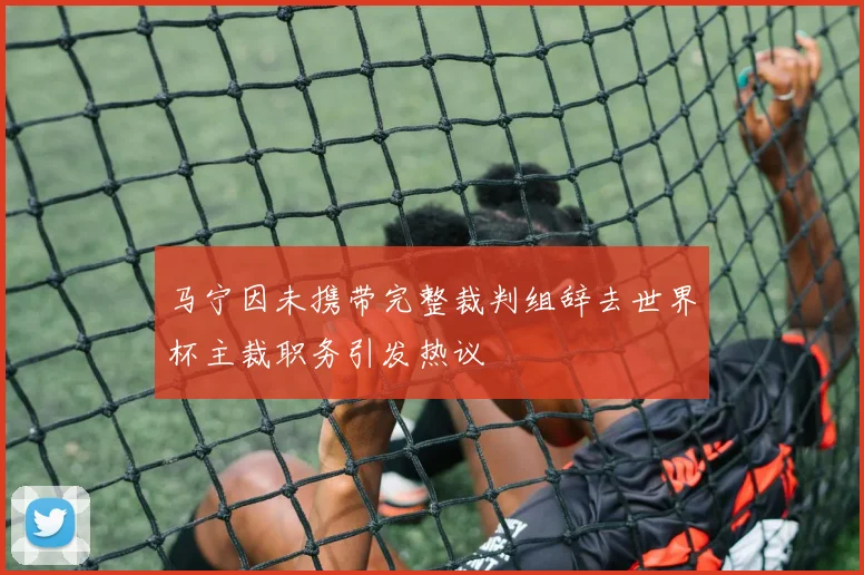 马宁因未携带完整裁判组辞去世界杯主裁职务引发热议
